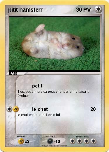 Pokemon pitit hamsterr