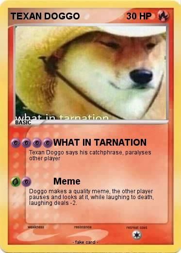 Pokemon TEXAN DOGGO