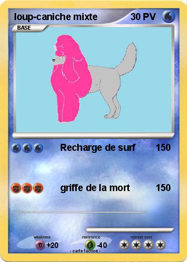 Pokemon loup-caniche mixte