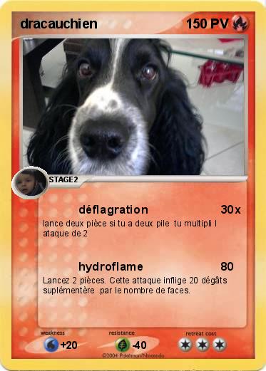 Pokemon dracauchien