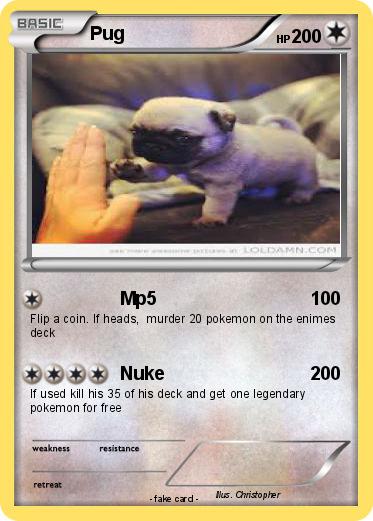 Pokemon Pug