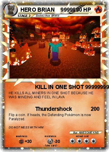 Pokemon HERO BRIAN    999999