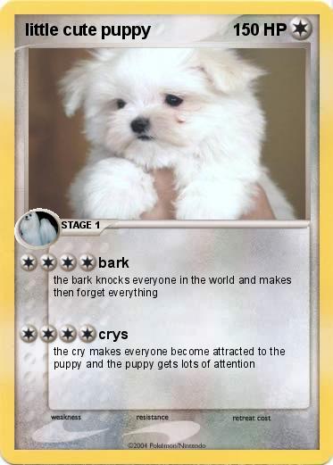 Pokemon little cute puppy