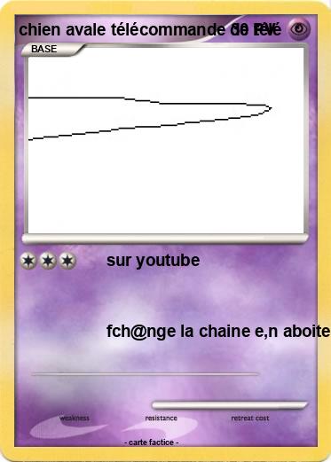 Pokemon chien avale télécommande de télé