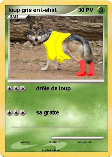 Pokemon loup gris en t-shirt