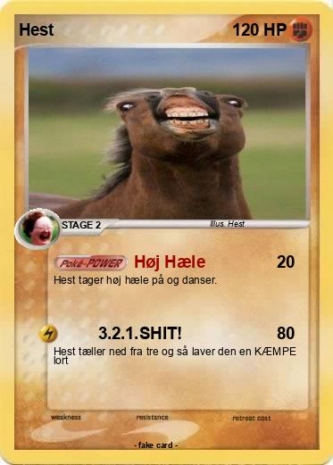 Pokemon Hest