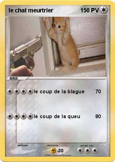 Pokemon le chat meurtrier