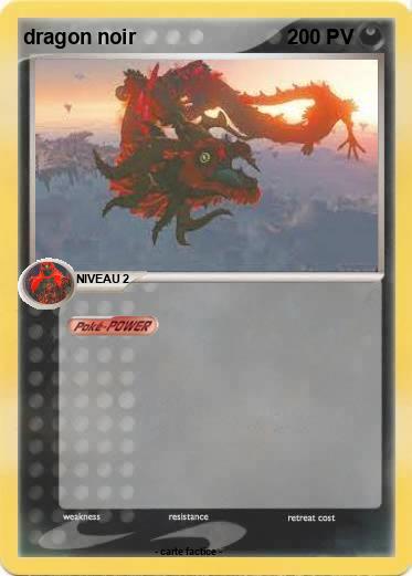 Pokemon dragon noir