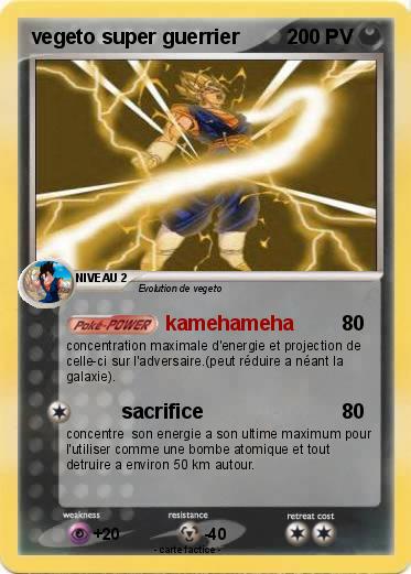 Pokemon vegeto super guerrier