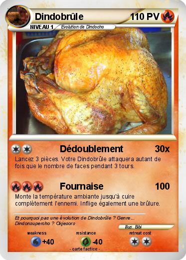 Pokemon Dindobrûle