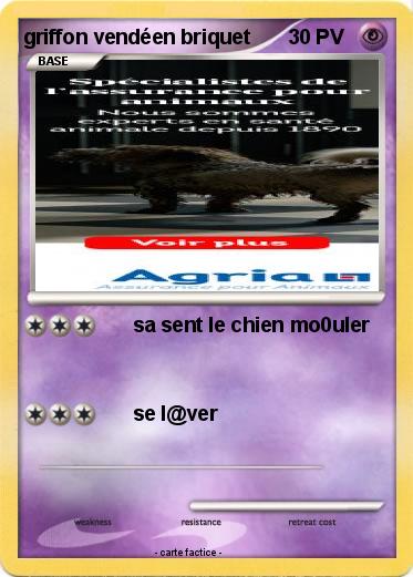 Pokemon griffon vendéen briquet