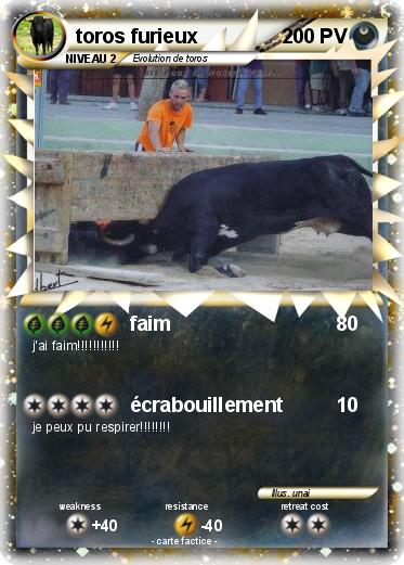 Pokemon toros furieux