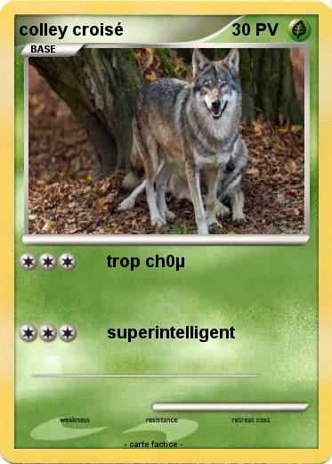 Pokemon colley croisé