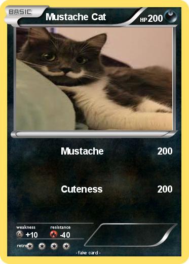 Pokemon Mustache Cat