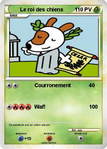 Pokemon Le roi des chiens