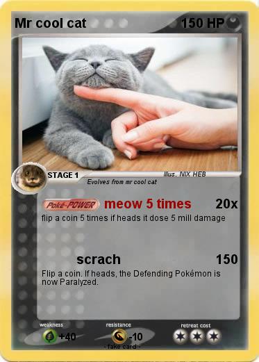 Pokemon Mr cool cat