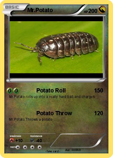 Pokemon Mr.Potato