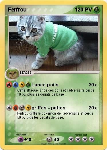 Pokemon Ferfrou
