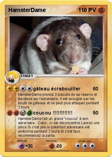Pokemon HamsterDame