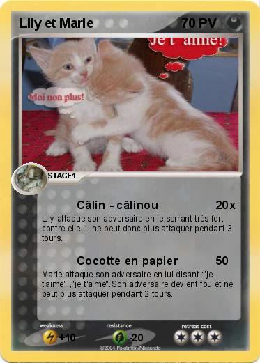 Pokemon Lily et Marie