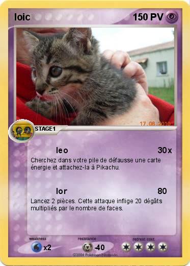 Pokemon loic