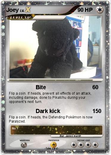 Pokemon Joey