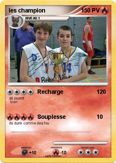 Pokemon les champion