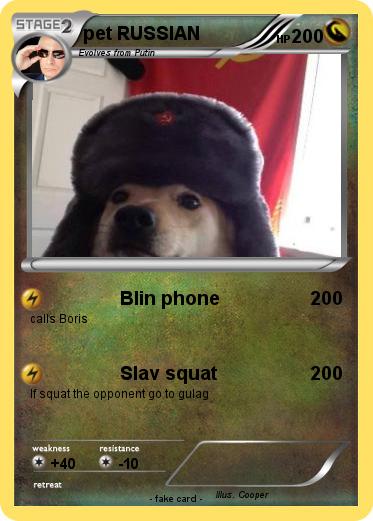 Pokemon pet RUSSIAN