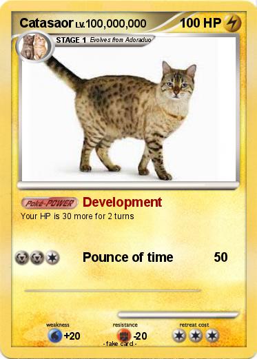 Pokemon Catasaor