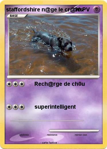 Pokemon staffordshire n@ge le cr@ws