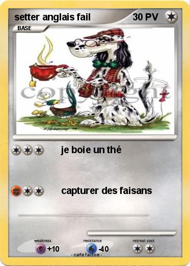 Pokemon setter anglais fail