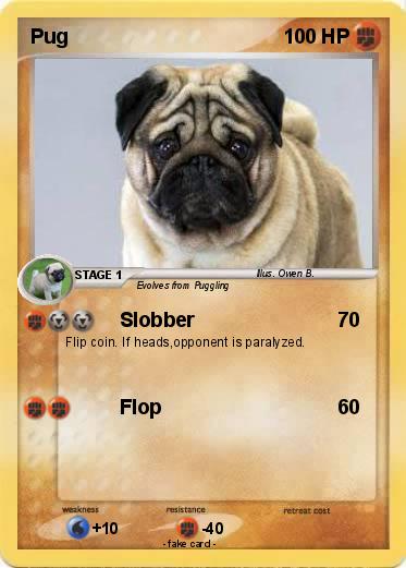 Pokemon Pug