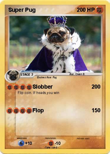 Pokemon Super Pug