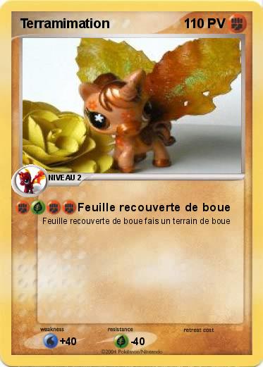 Pokemon Terramimation