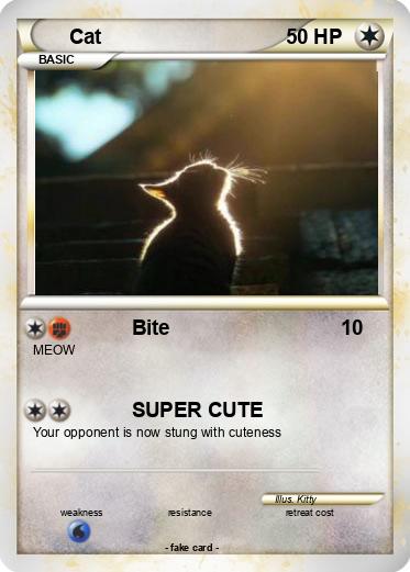 Pokemon Cat