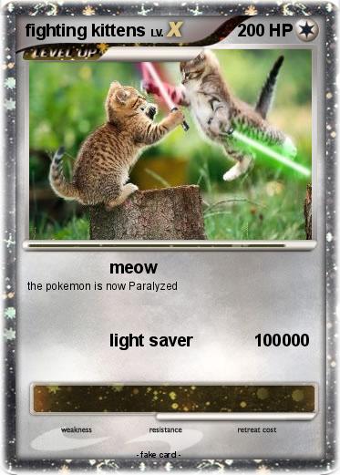Pokemon fighting kittens