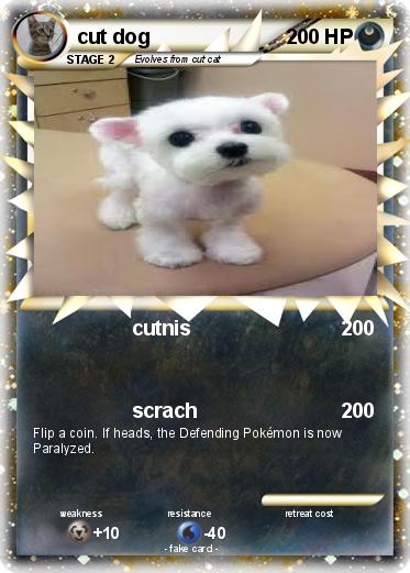 Pokemon cut dog