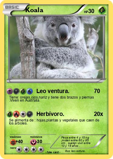 Pokemon Koala