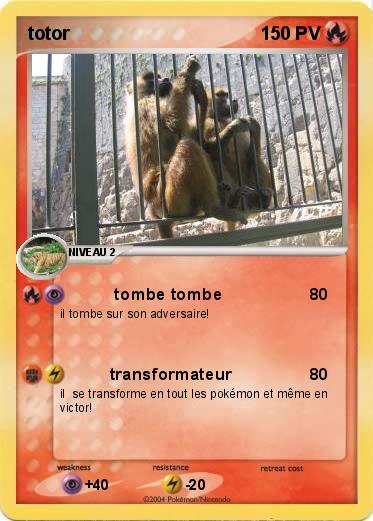Pokemon totor