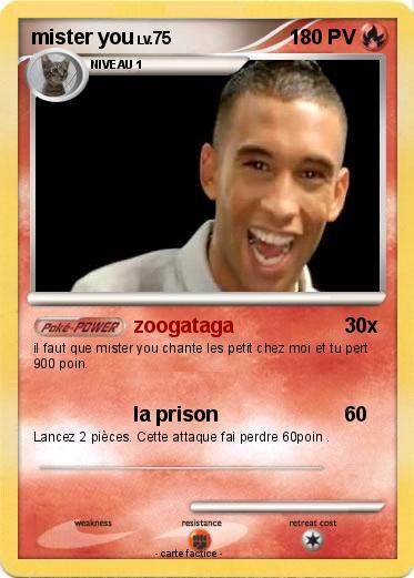 Pokemon mister you