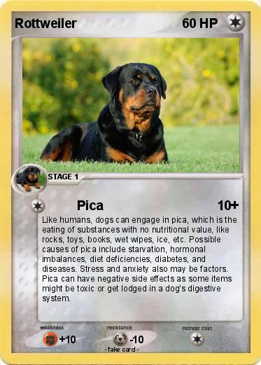 Pokemon Rottweiler