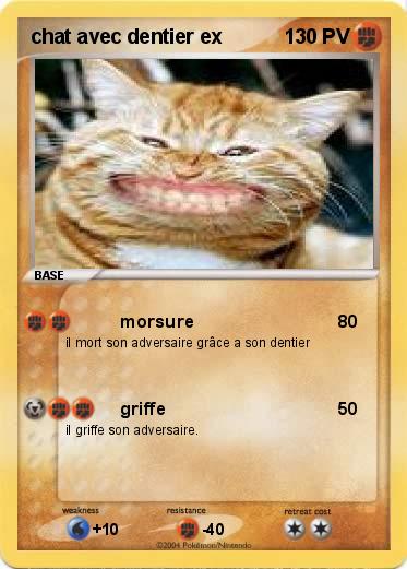 Pokemon chat avec dentier ex