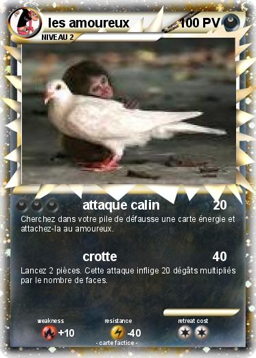 Pokemon les amoureux