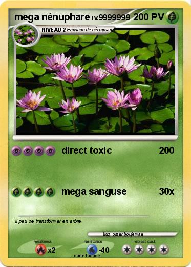 Pokemon mega nénuphare