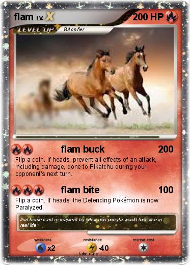 Pokemon flam