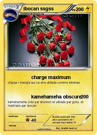 Pokemon ibocan ssgss
