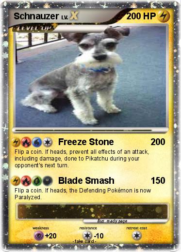 Pokemon Schnauzer