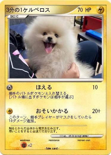 Pokemon 3分の1ケルベロス