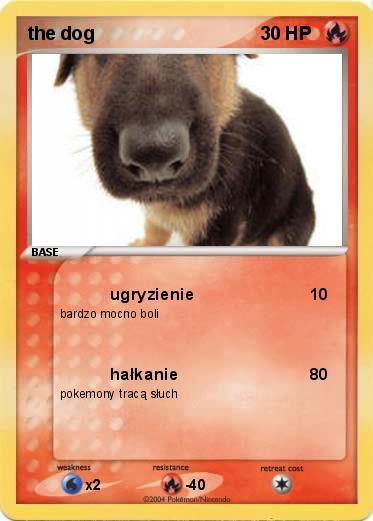 Pokemon the dog