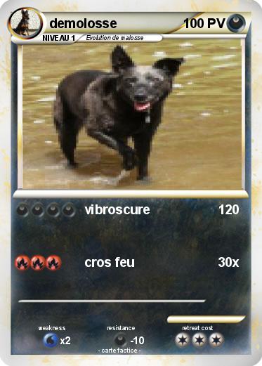 Pokemon demolosse
